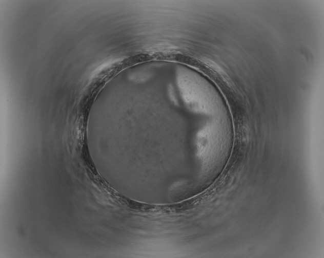 X0000112951063200909071111