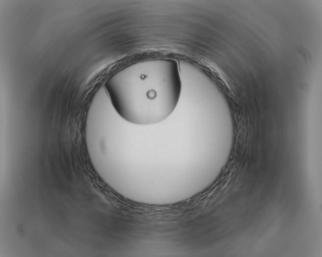 X0000112951064200909071111