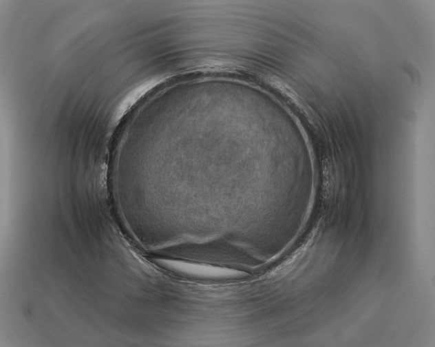 X0000112951066200909071111