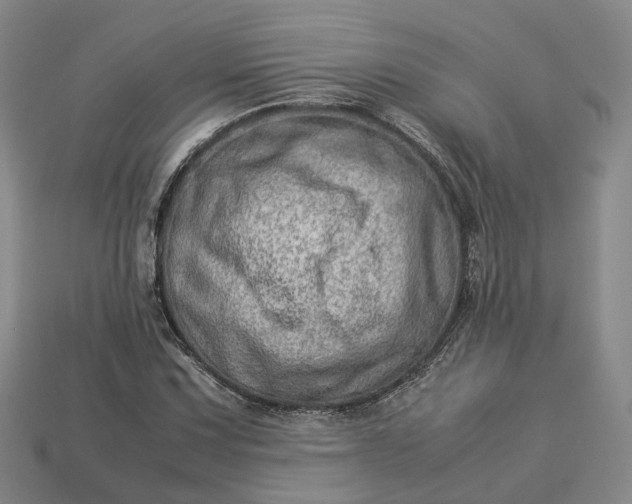 X0000112951067200909071111