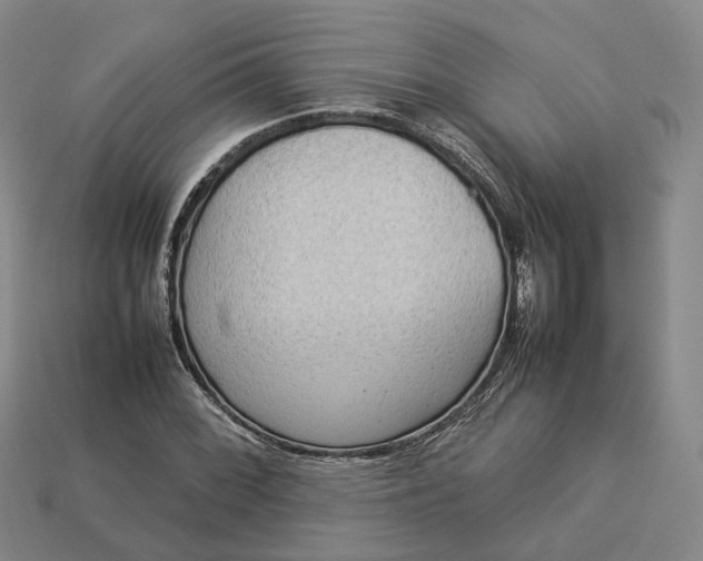 X0000112951068200909071111