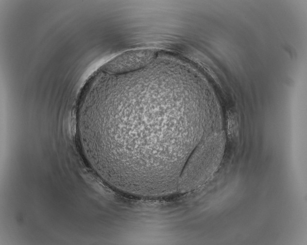 X0000112951069200909071111