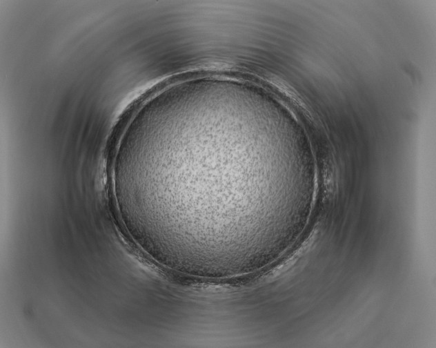 X0000112951070200909071111