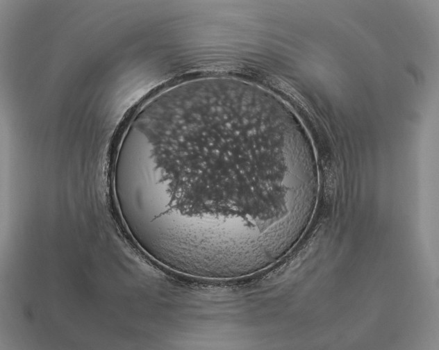 X0000112951071200909071111