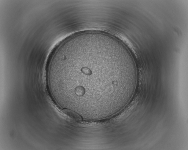 X0000112951072200909071111