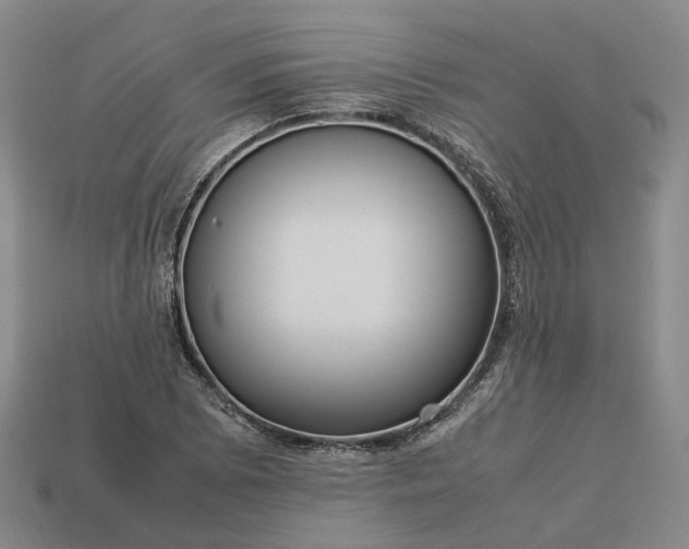 X0000112951073200909071110