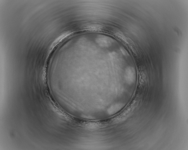 X0000112951074200909071110