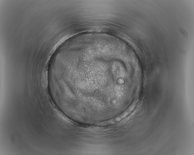 X0000112951075200909071110