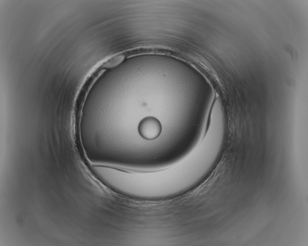 X0000112951076200909071110