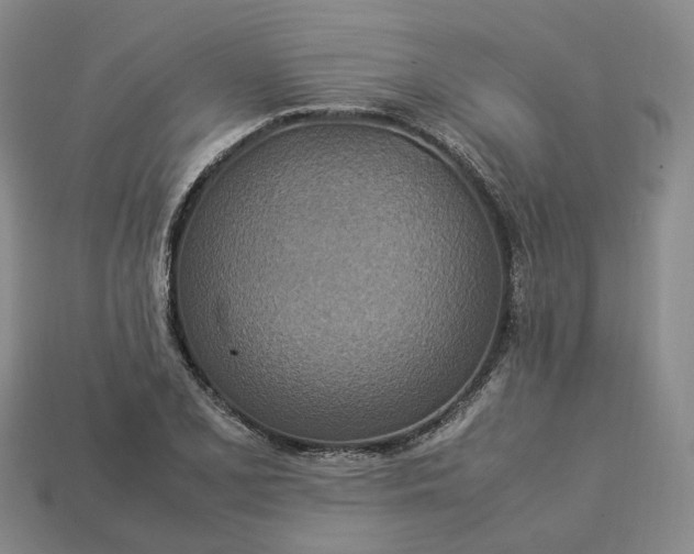 X0000112951077200909071110