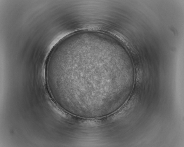 X0000112951078200909071110