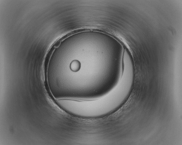 X0000112951080200909071110