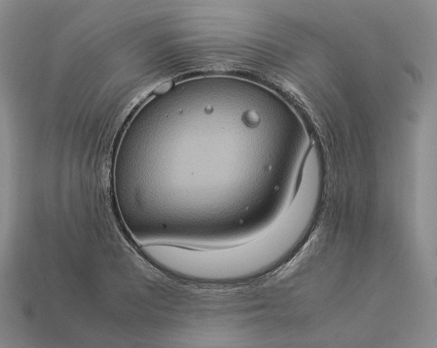 X0000112951081200909071110