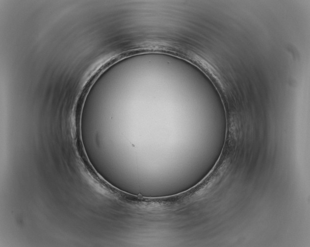 X0000112951082200909071110