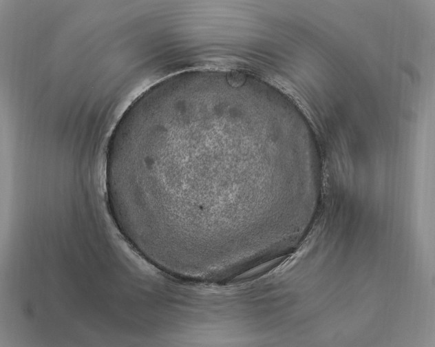 X0000112951083200909071110