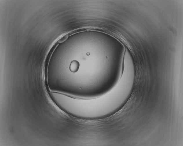 X0000112951084200909071110