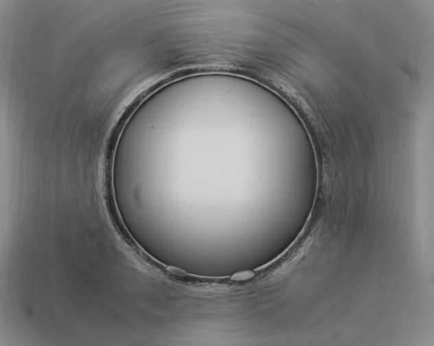 X0000112951085200909071110