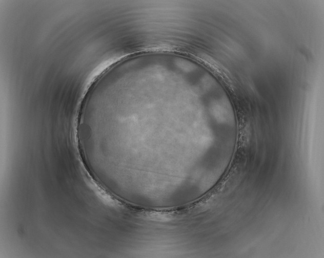 X0000112951086200909071110