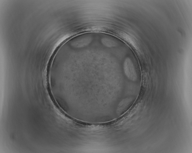 X0000112951087200909071110