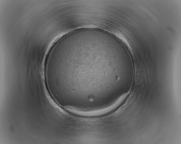 X0000112951088200909071110