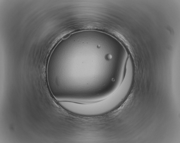 X0000112951089200909071110