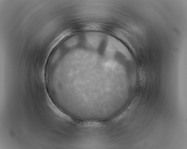 X0000112951090200909071110