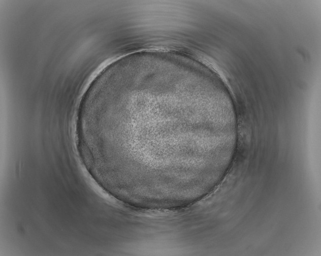 X0000112951091200909071110