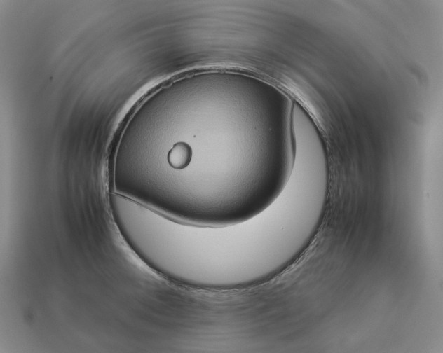 X0000112951092200909071110