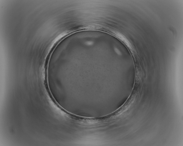 X0000112951095200909071110