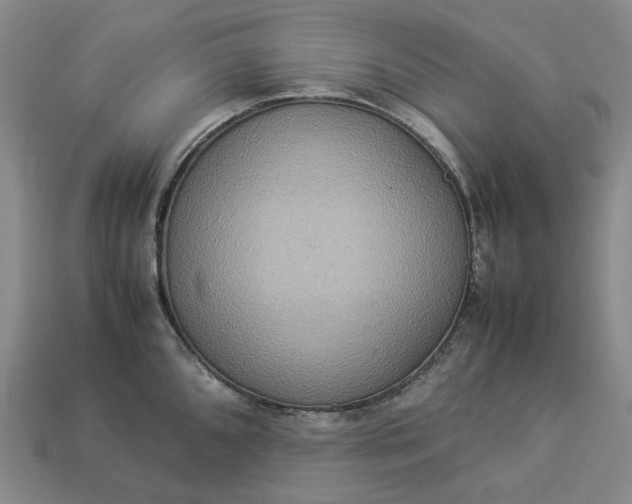 X0000112951096200909071110