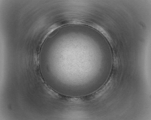 X0000112951097200909071110