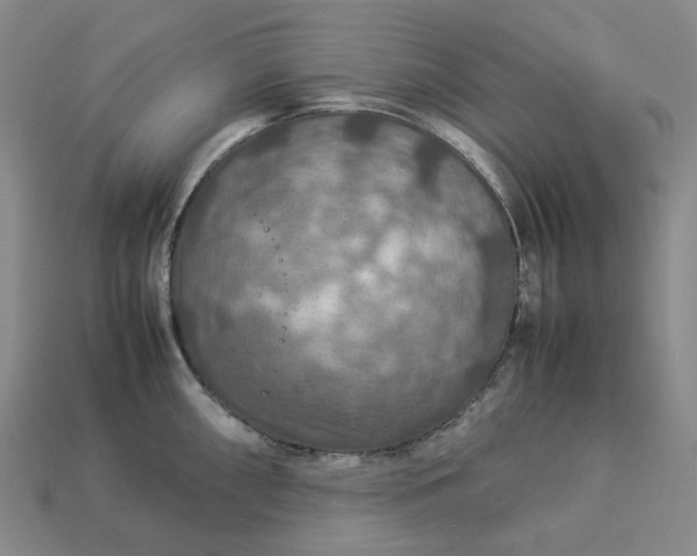 X0000112951098200909071110