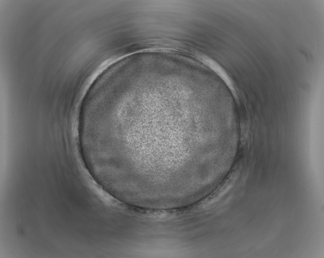 X0000112951099200909071110