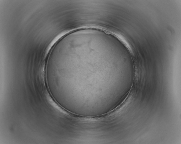 X0000112951100200909071110