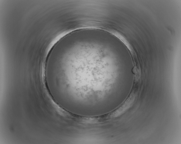 X0000112951101200909071110