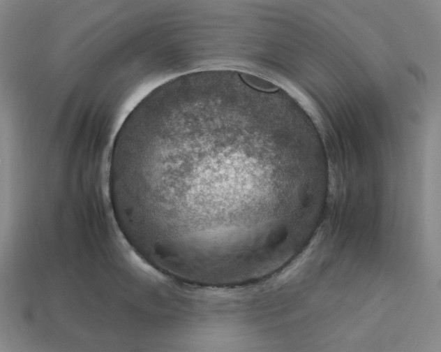 X0000112951102200909071110