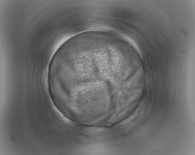 X0000112951103200909071110