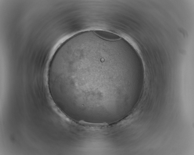 X0000112951104200909071110