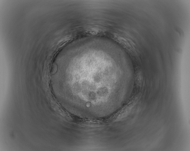 X0000112951105200909071109