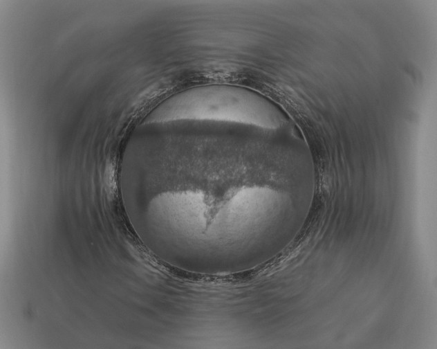 X0000112951106200909071109