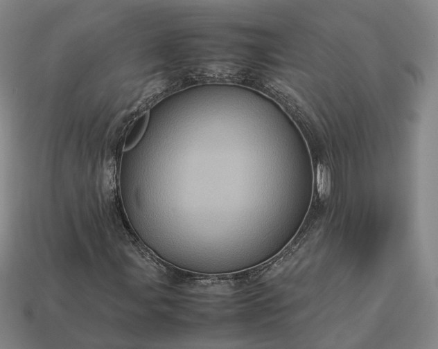 X0000112951107200909071109