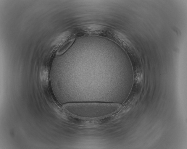 X0000112951108200909071109