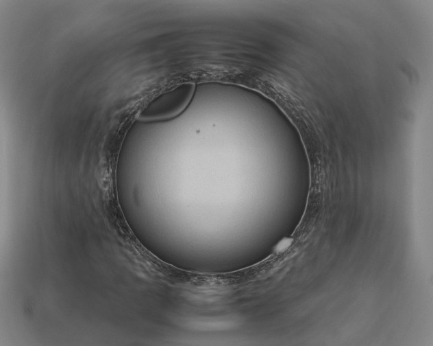 X0000112951109200909071109