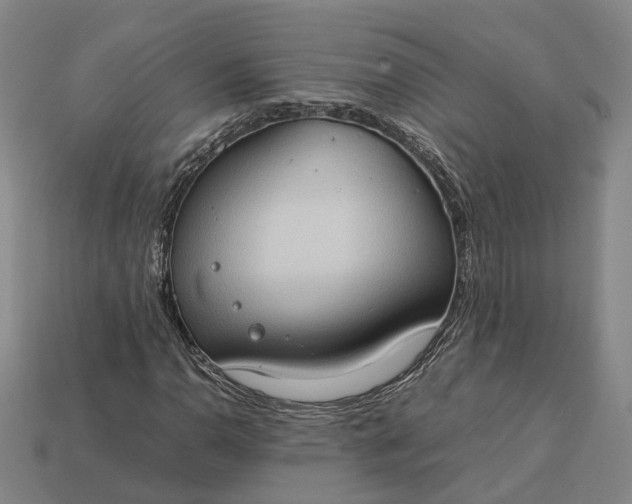 X0000112951110200909071109