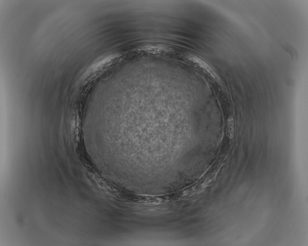 X0000112951111200909071109