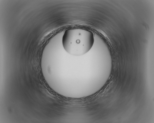 X0000112951112200909071109