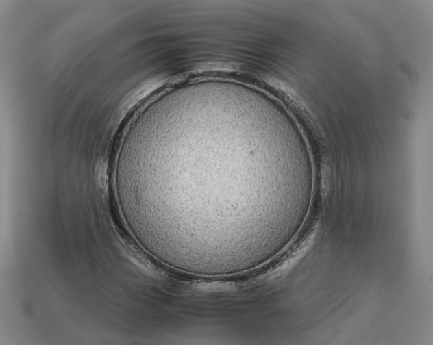 X0000112951113200909071109