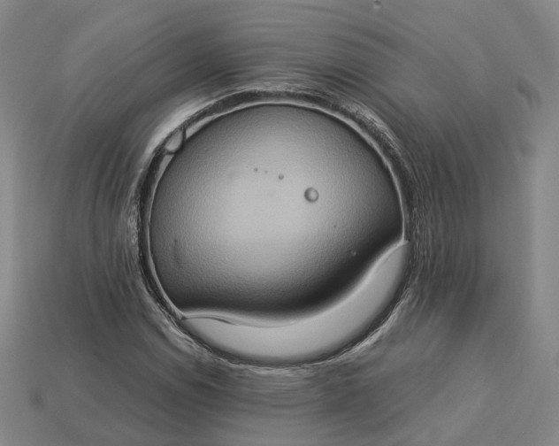 X0000112951114200909071109