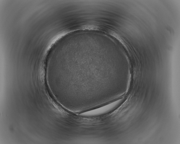 X0000112951115200909071109