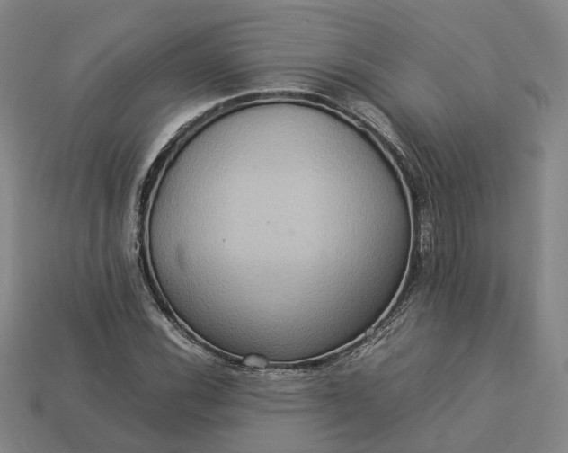 X0000112951116200909071109